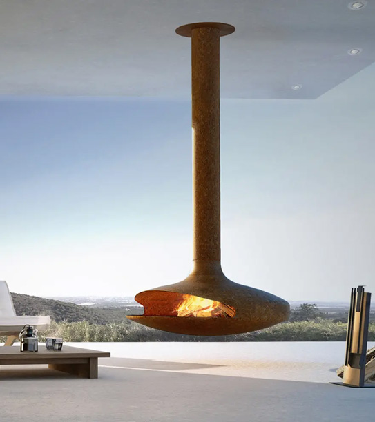 Gyrofocus bois outdoor